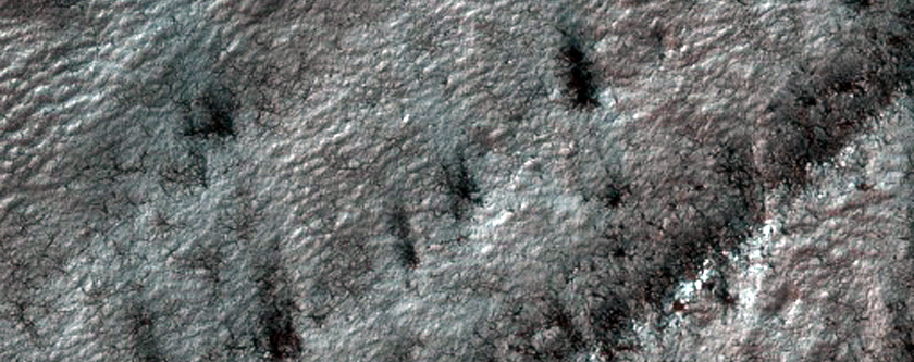 Spiders Higher in Outcrop of Polar Cap