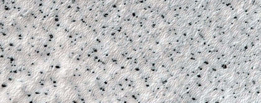 Seasonal Polygons and Fans on Dunes within Crater
