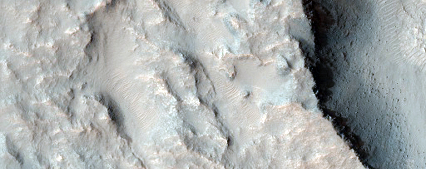 Possible Phyllosilicates North of Hellas Planitia
