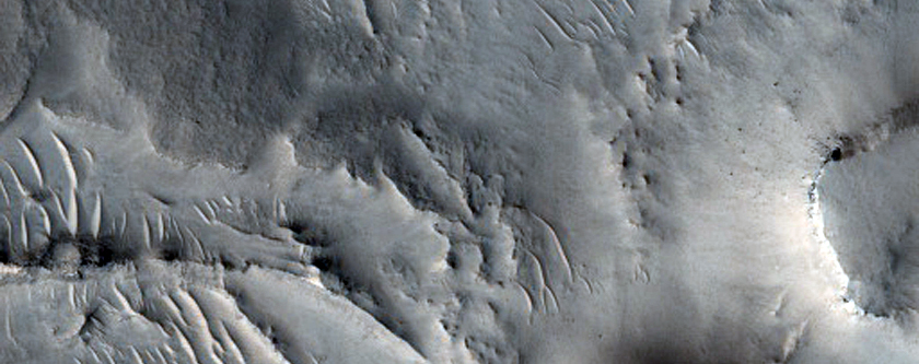 Possible Lacustrine Deposit in Open Basin