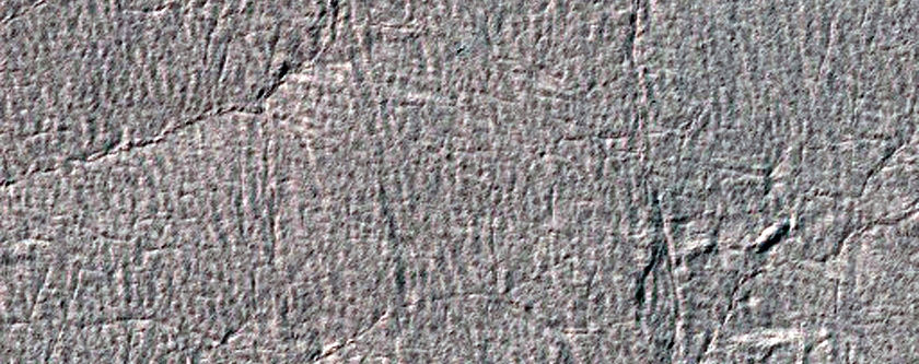 Western Cavi Angusti