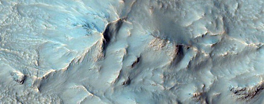 Light-Toned Gully Deposits in Hale Crater