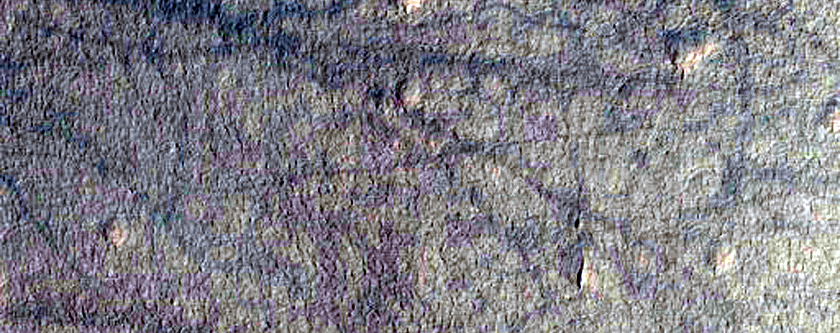 Monitor Gullies on Equator-Facing Slope in Asimov Crater