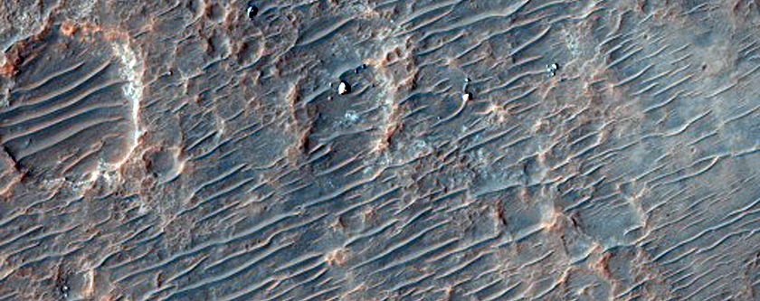 Possible Olivine Detected by Omega North of Hellas Planitia