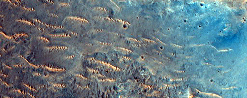 Potential Phyllosilicates in Crater Ejecta Near Margaritifer Chaos