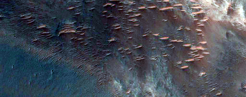 Central Uplift of Saheki Crater