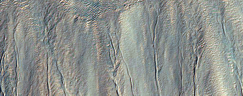 High-Latitude Gullies