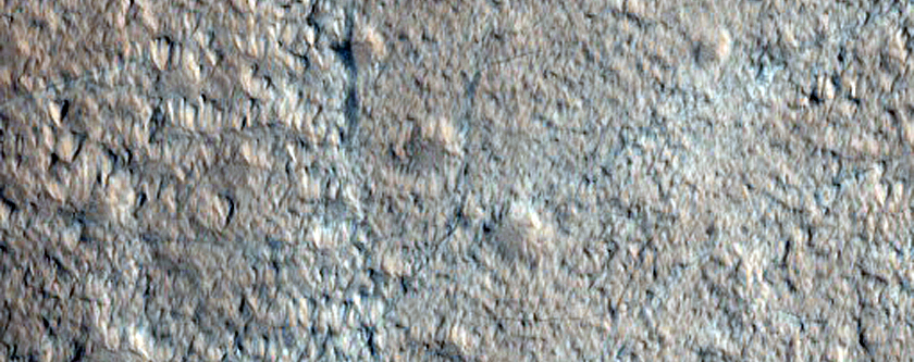 Lobate Form with Digitate Ridges on Northwest Wall of Nicholson Crater