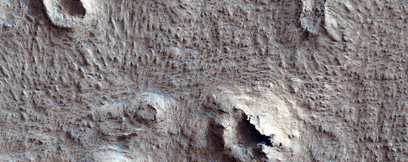 Pitted Domes in Northern Amazonis Planitia