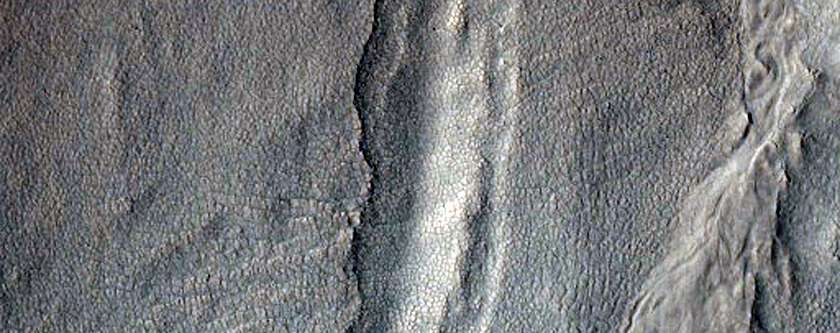 Multi-Lobed Gully Apron