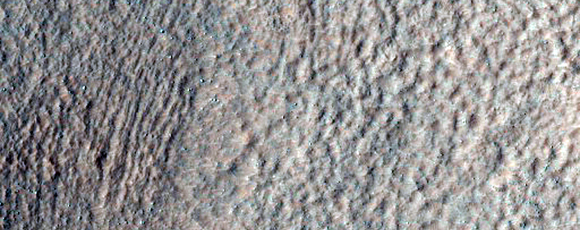 Gully Monitoring