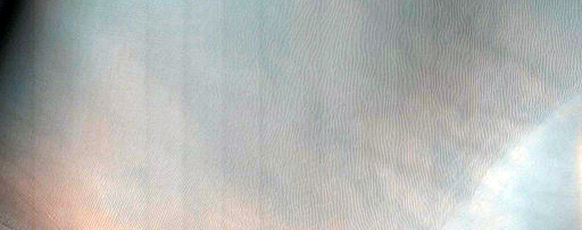 Dune Gullies
