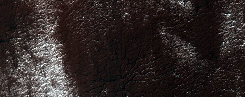 Region Dubbed Manhattan Classic Spider Terrain