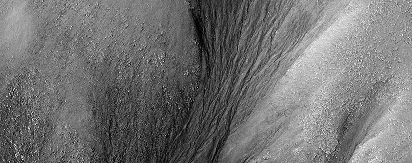 Large Gully in Northern Argyre Planitia