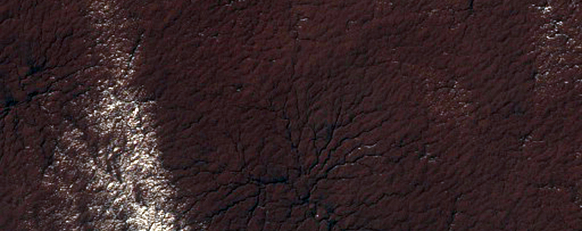Region Dubbed Manhattan Classic Spider Terrain