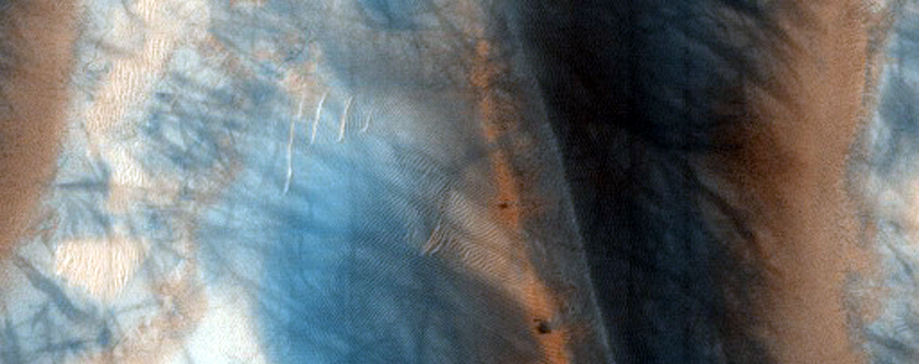 Richardson Crater Dunes Monitoring
