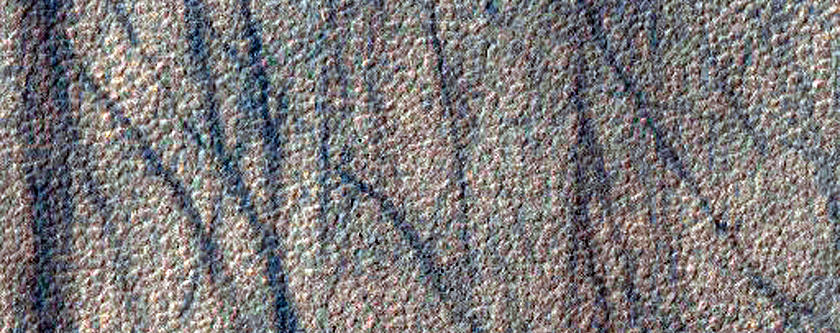 Permafrost Survey
