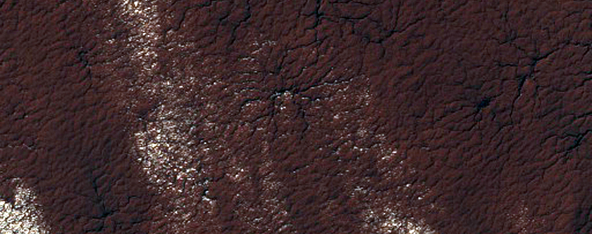 Region Dubbed Manhattan Classic Spider Terrain