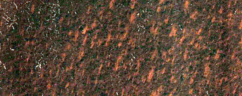 Putative Esker in Chasma Australe