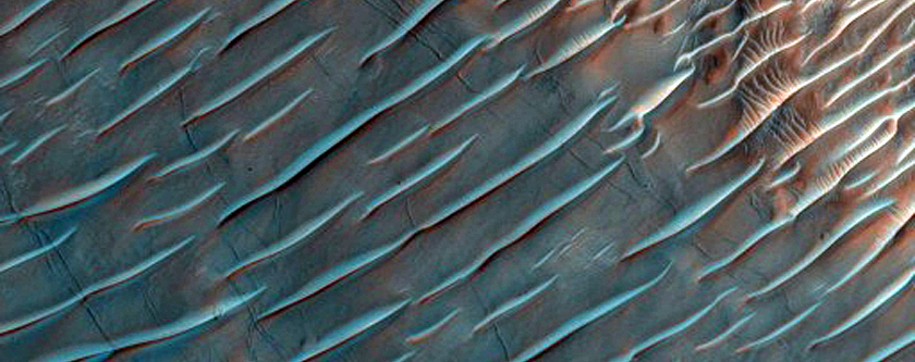Possible Phyllosilicates in Nirgal Vallis and Gully Monitoring