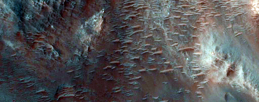 Central Uplift of Saheki Crater