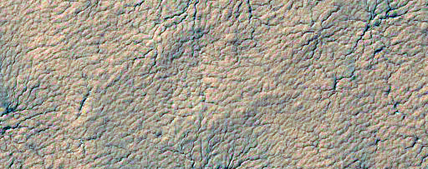Region Dubbed Manhattan Classic Spider Terrain