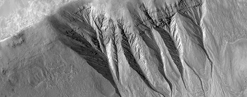 Gullies in Craters in Terra Cimmeria