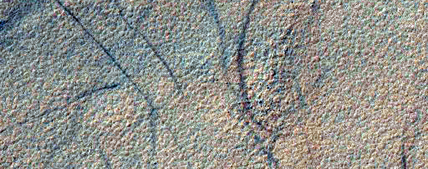 Permafrost Survey