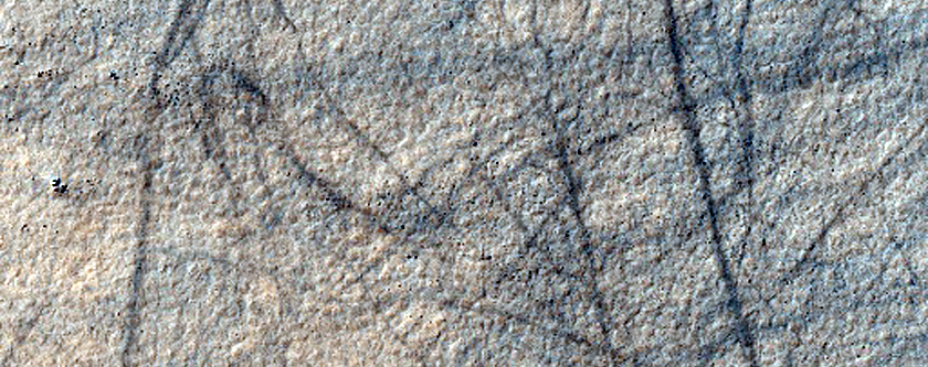 Dust Devil Tracks in Sisyphi Planum
