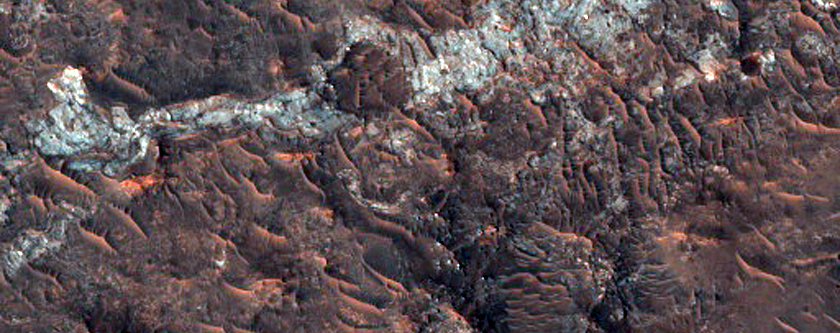 Possible Chloride-Rich Terrain