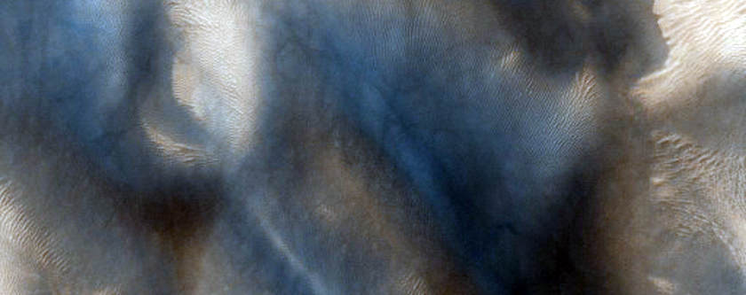 USGS Dune Database Entry Number 1631-695