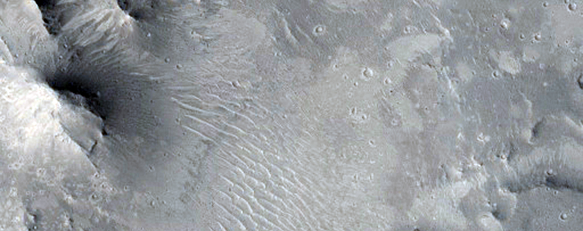 Well-Preserved 10-Kilometer Crater with Central Uplift in Elysium Planitia