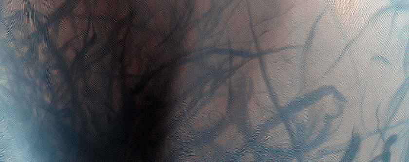 Huellas del “diablo de polvo” y marcas en las pendientes de las dunas de arena marcianas