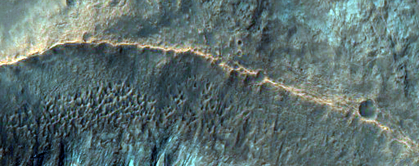 Gullies with Bright Fans