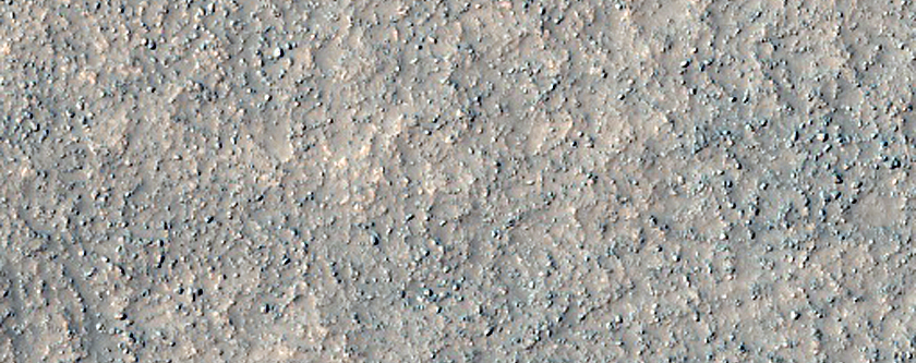 Dust Devil Tracks on the Floor of Mid-Latitude Crater