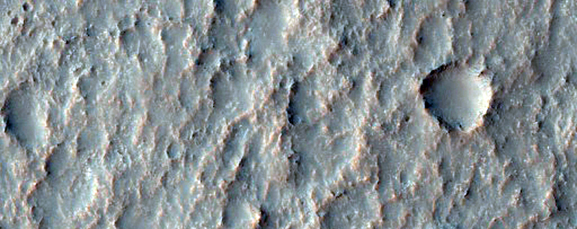 Putative Chloride-Rich Terrains