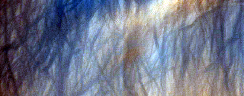 Aeolian Dune Monitoring Site