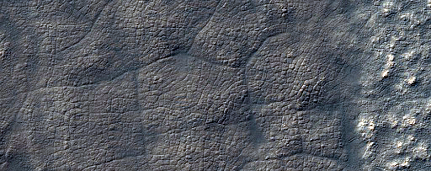 Change Detection in Starfish-Shaped Feature