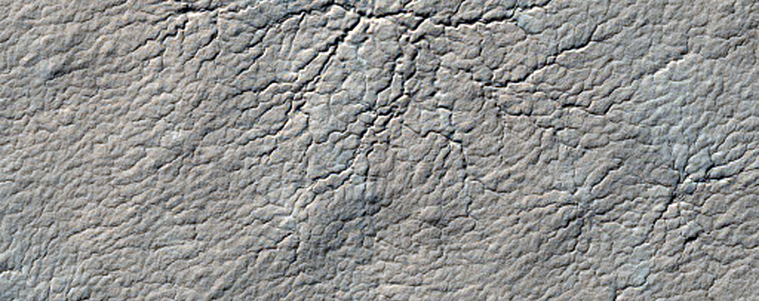 Region Dubbed Manhattan Classic Spider Terrain