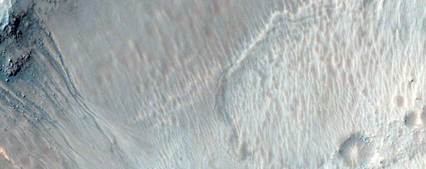 Gully Monitoring
