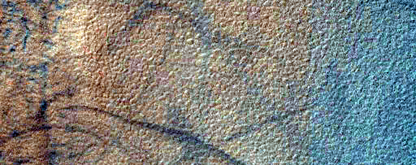 Gully Monitoring