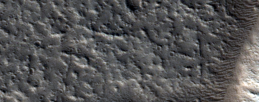 Branched Channels in Tantalus Fossae