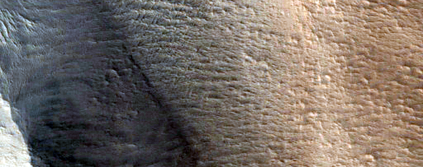 Slope Streak Monitoring in Lycus Sulci