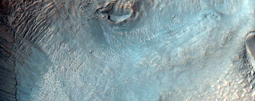 Superposed Crater and Gullies
