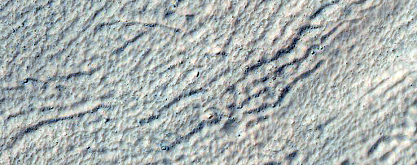 Gullies with Possible Light Deposits