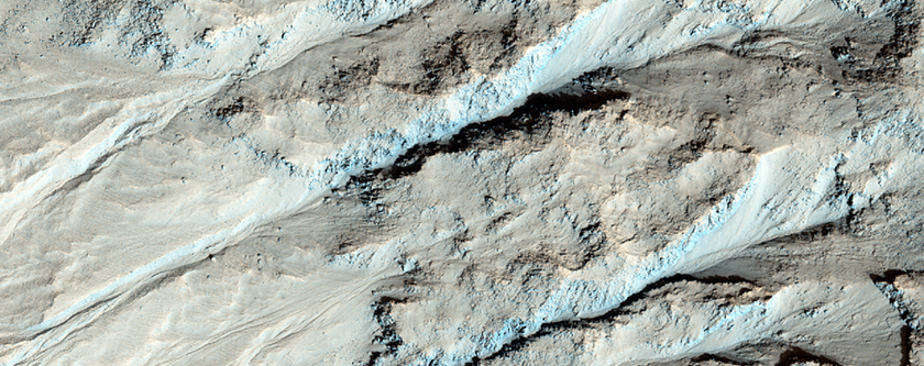 Gullied Crater Wall in Terra Cimmeria