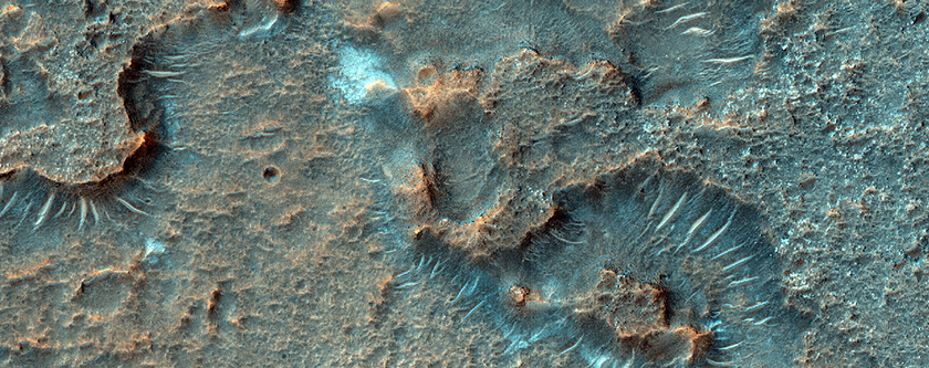 Putative Chlorides in Terra Sabaea