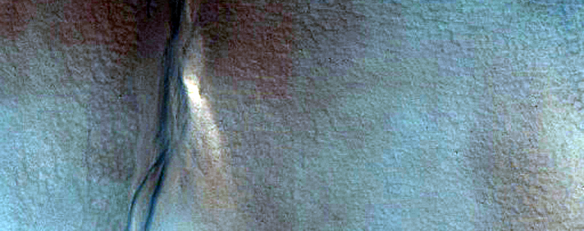 Northern Hemisphere Gully