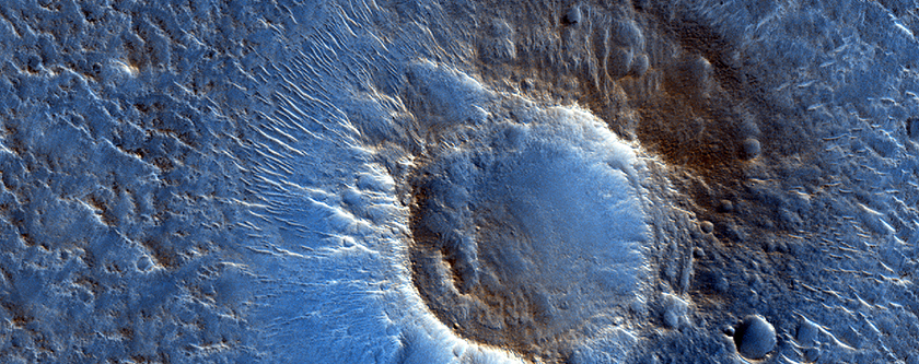 Cones in Northern Mid-Latitudes