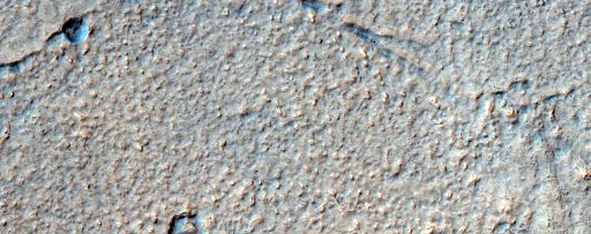 Gullies in Crater near Newton Crater